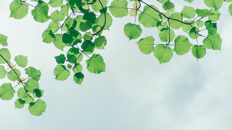 Patrimoine & Environnement
